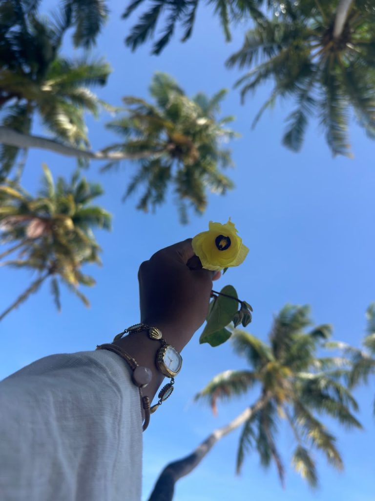3 3
